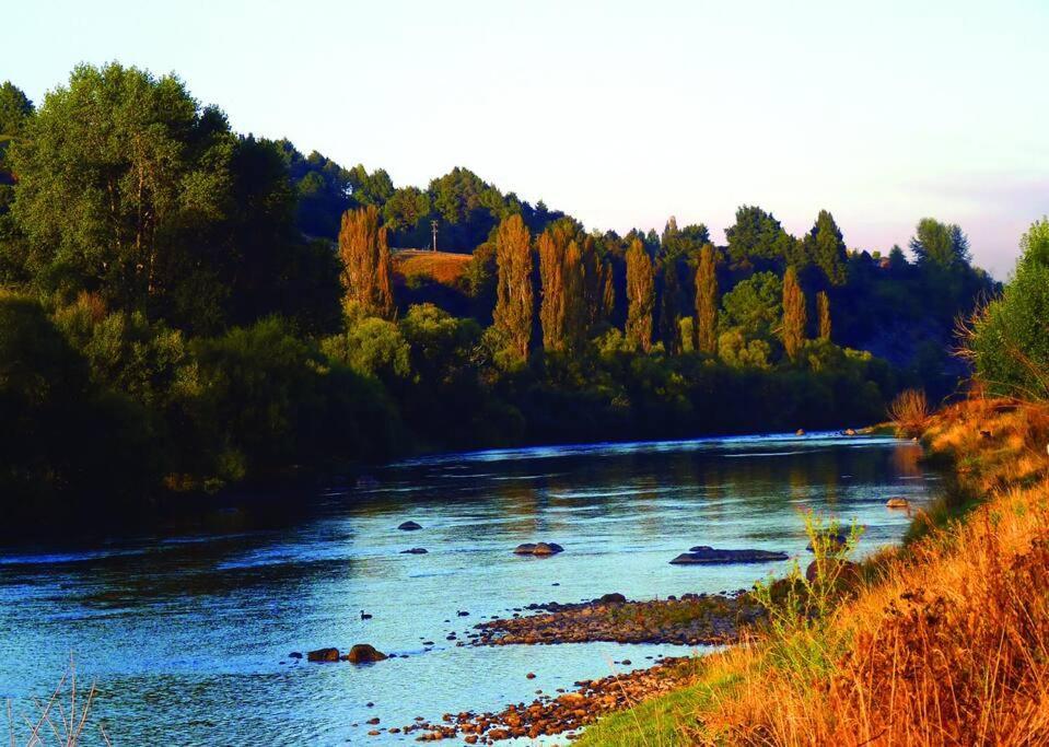 Riverlea Cottage - Cosy, Comfy, Quiet, Central Таумарунуи Екстериор снимка