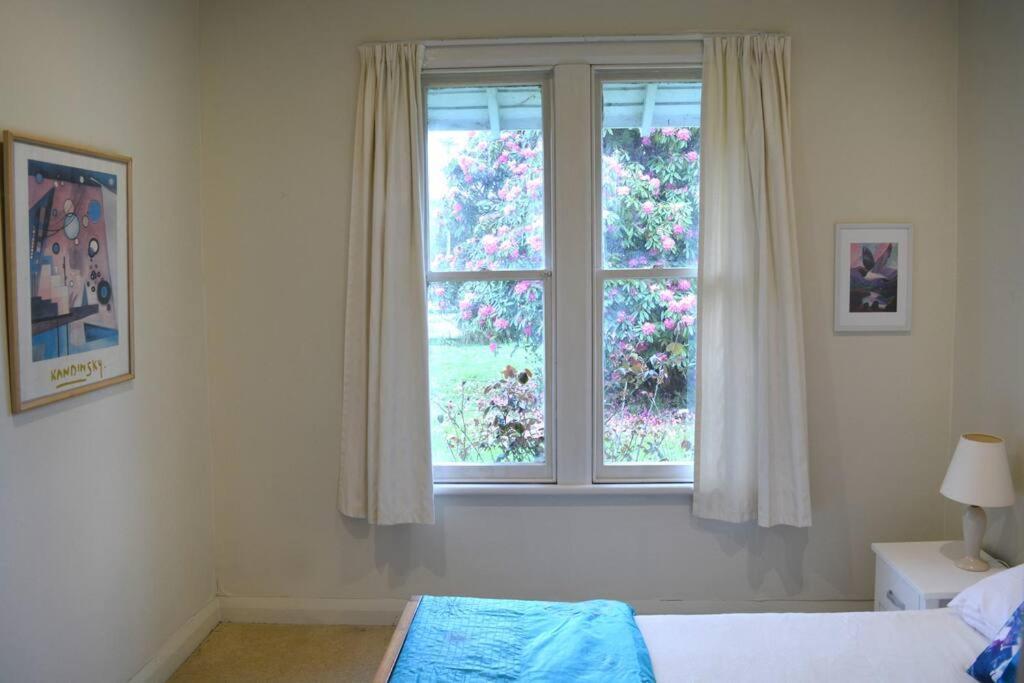Riverlea Cottage - Cosy, Comfy, Quiet, Central Таумарунуи Екстериор снимка