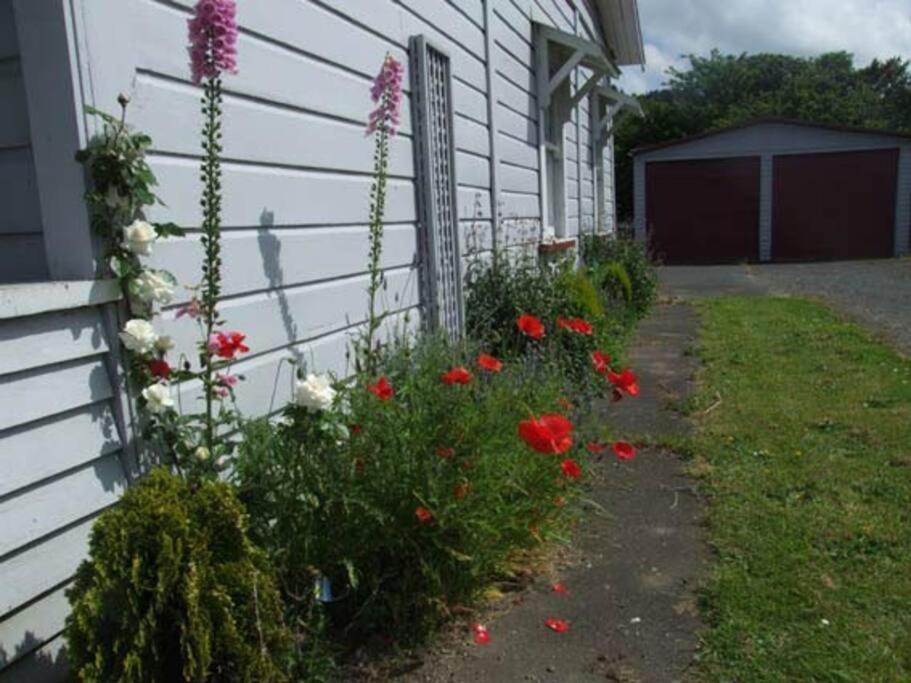 Riverlea Cottage - Cosy, Comfy, Quiet, Central Таумарунуи Екстериор снимка